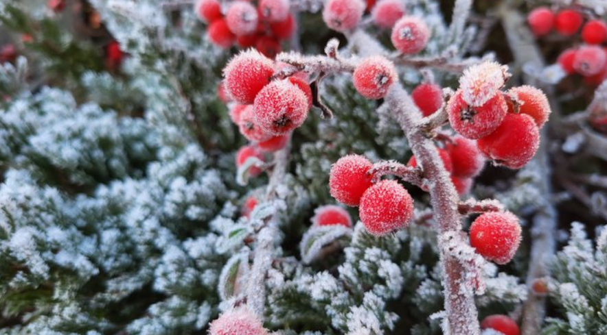 Коли морози в Україні підуть на спад: синоптикиня назвала точну дату Коли морози в Україні підуть на спад: синоптикиня назвала точну дату
